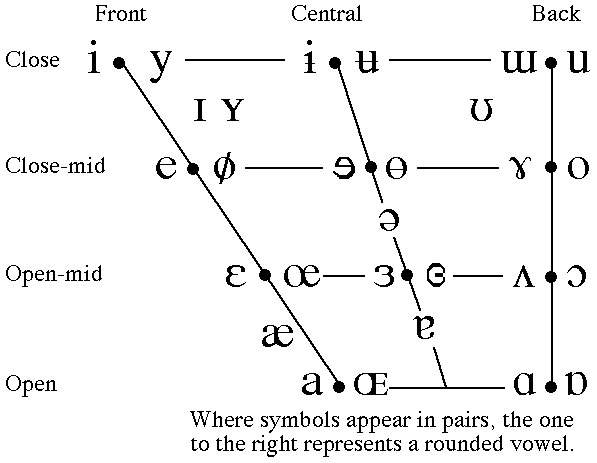 Something To Talk About: The Anatomy Of Speech Sounds